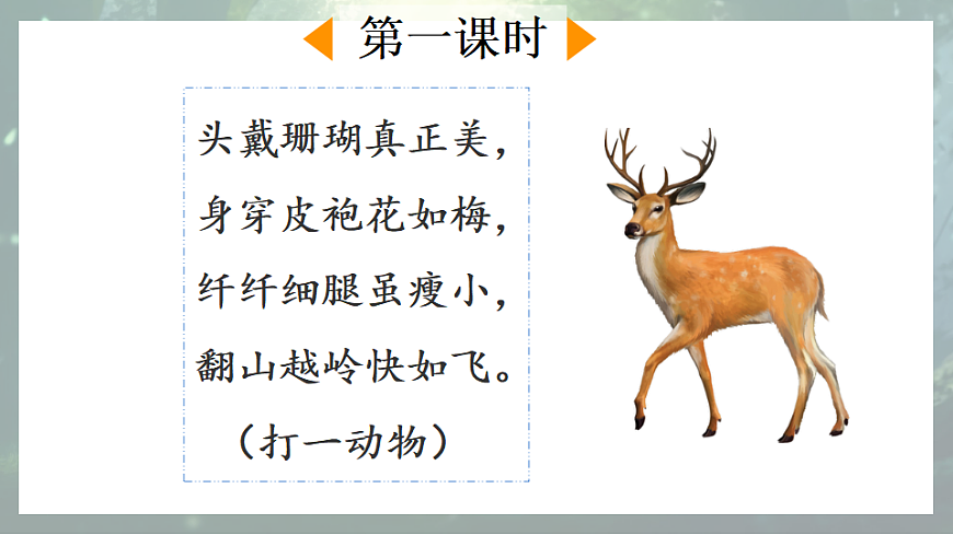 【核心素养】部编版小学语文三年级下册  7鹿角和鹿腿 课件第2页