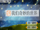 【核心素养】部编版小学语文三年级下册  24 我们奇妙的世界  课件+教案+同步练习（含教学反思）