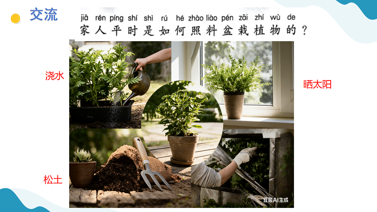 10、植物生长需要什么 小学科学 苏教版（2024） 二年级下册 课件第2页
