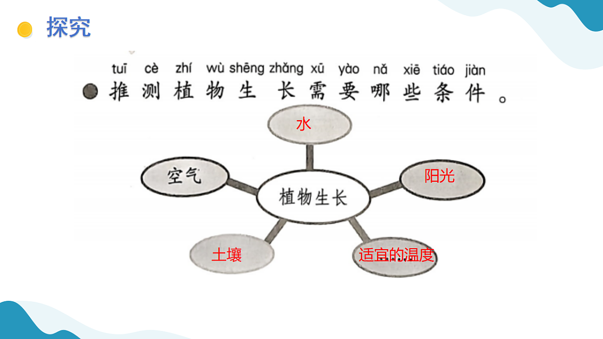 10、植物生长需要什么 小学科学 苏教版（2024） 二年级下册 课件第3页