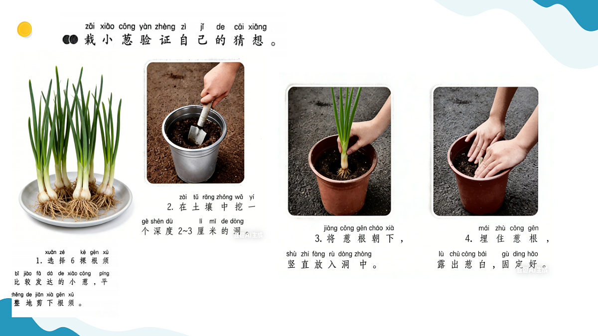 10、植物生长需要什么 小学科学 苏教版（2024） 二年级下册 课件第4页