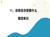 11.动物生存需要什么 小学科学 苏教版（2024） 二年级下册 课件