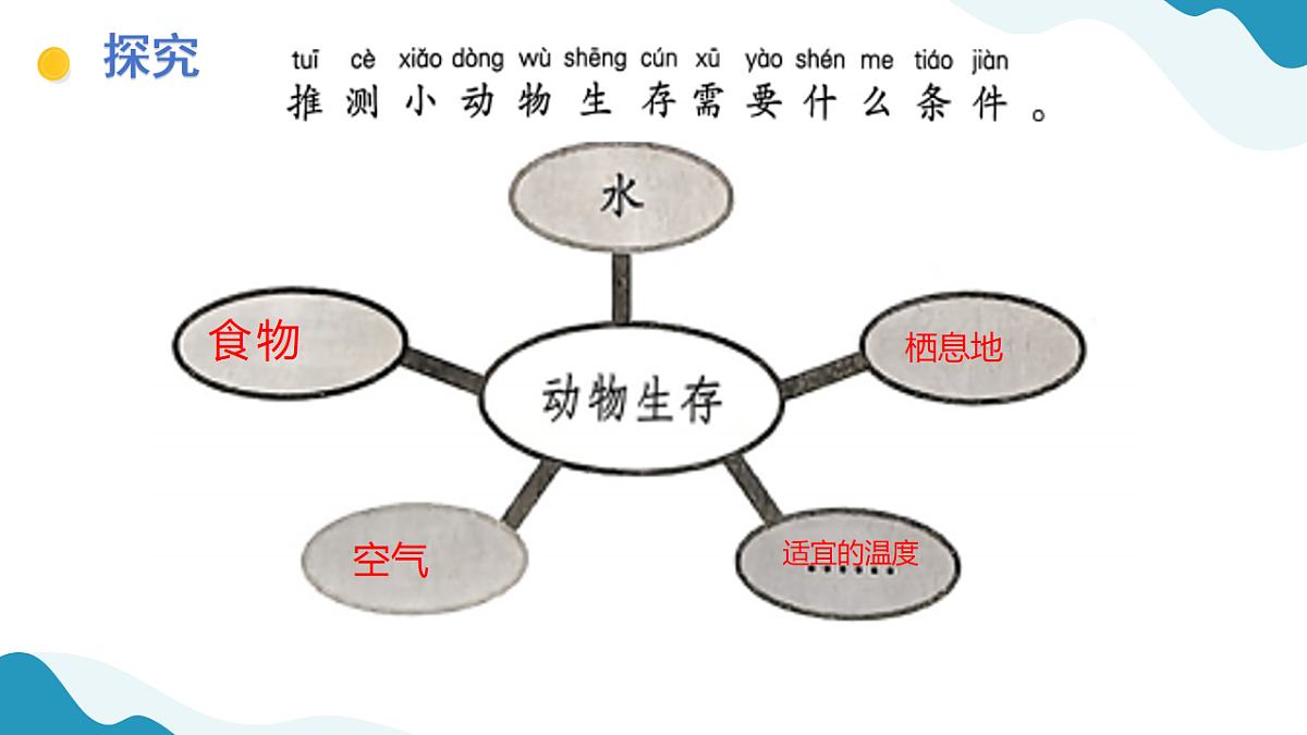 11、动物生存需要什么 小学科学 苏教版（2024） 二年级下册 课件第3页