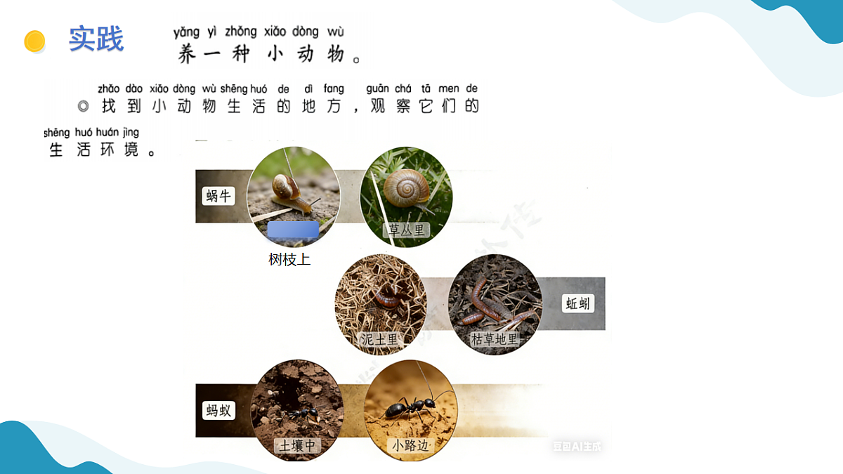 11、动物生存需要什么 小学科学 苏教版（2024） 二年级下册 课件第4页