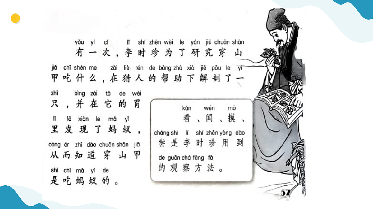 专项学习 像科学家那样 小学科学 苏教版（2024） 二年级下册 课件第3页