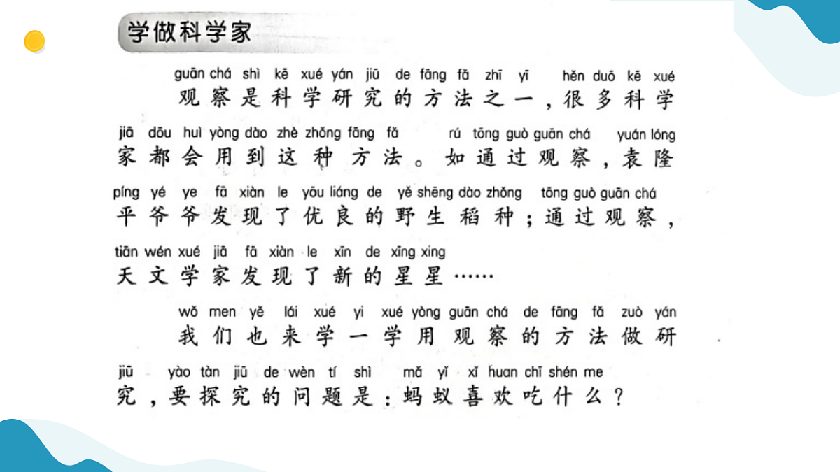 专项学习 像科学家那样 小学科学 苏教版（2024） 二年级下册 课件第6页