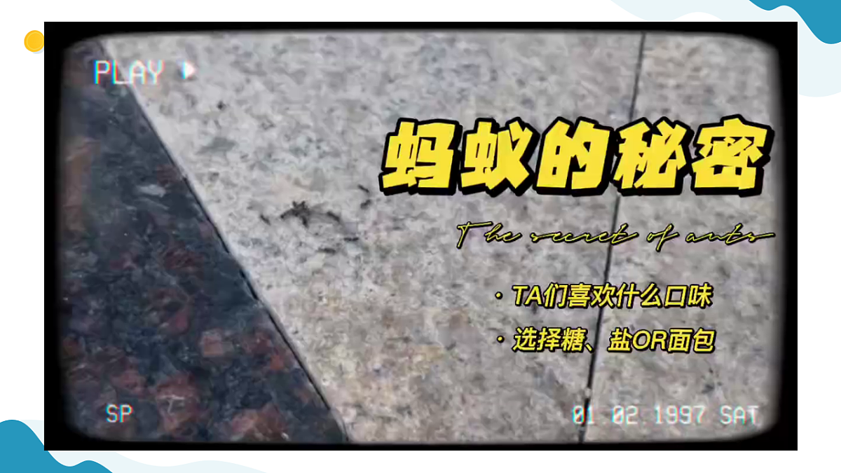 专项学习 像科学家那样 小学科学 苏教版（2024） 二年级下册 课件第7页