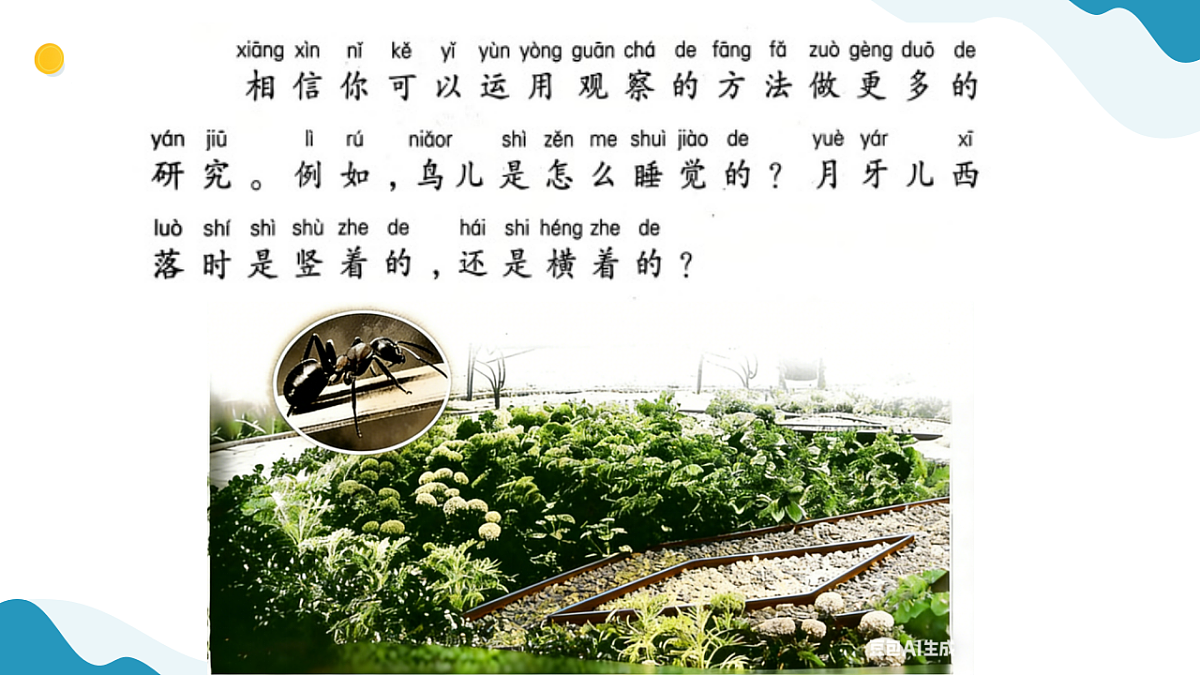 专项学习 像科学家那样 小学科学 苏教版（2024） 二年级下册 课件第8页