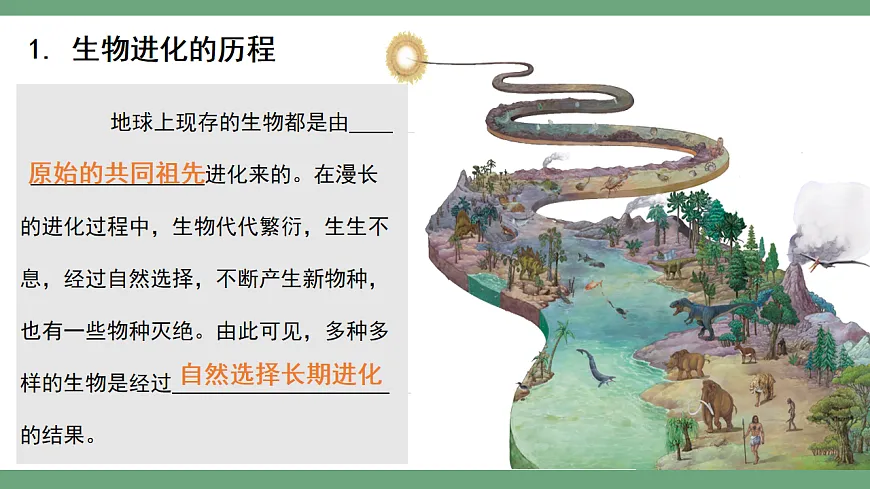 4.1.1 进化与生物多样性 课件 2025-2026学年人教版生物八年级下册第4页