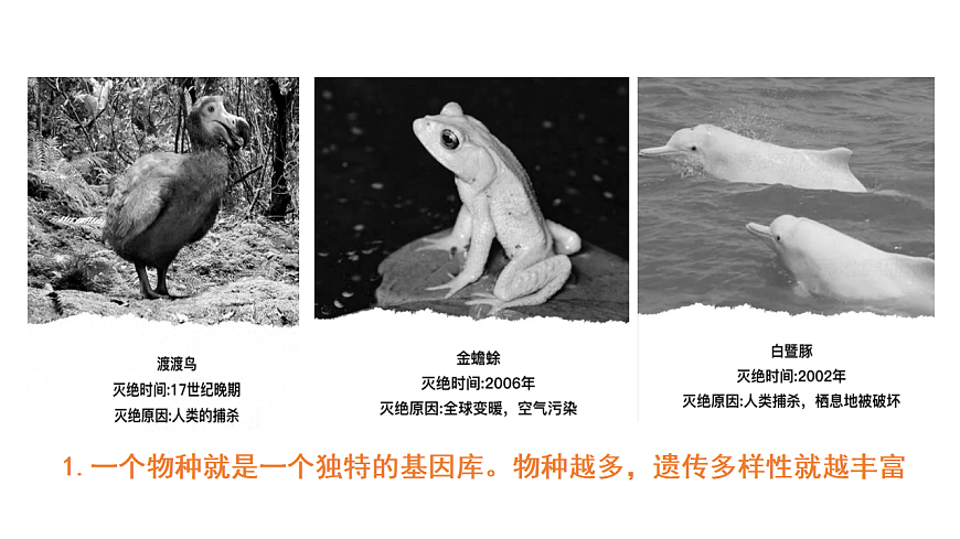 4.1.2 进化与生物多样性 课件 2025-2026学年人教版生物八年级下册第2页