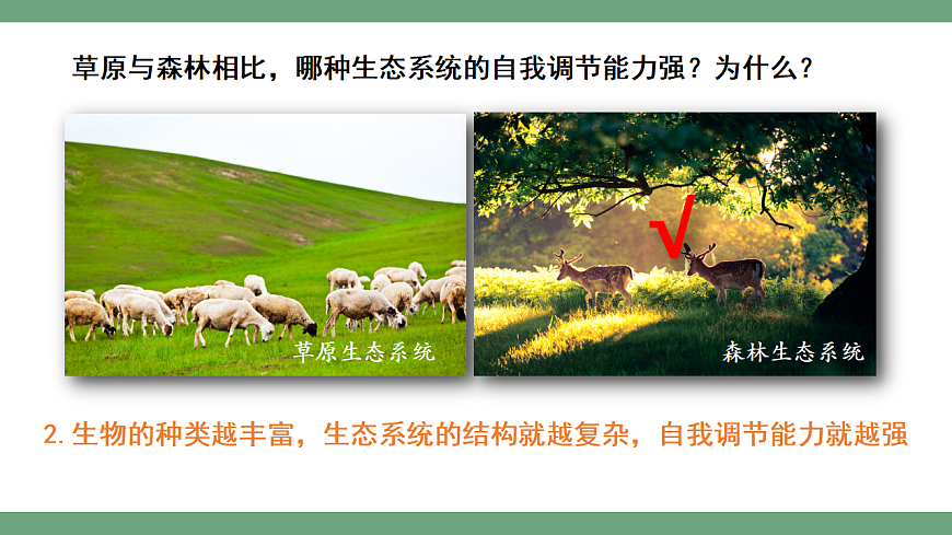 4.1.2 进化与生物多样性 课件 2025-2026学年人教版生物八年级下册第4页