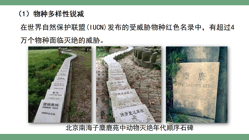 4.2.1 人与自然和谐共生 课件 2025-2026学年人教版生物八年级下册第5页