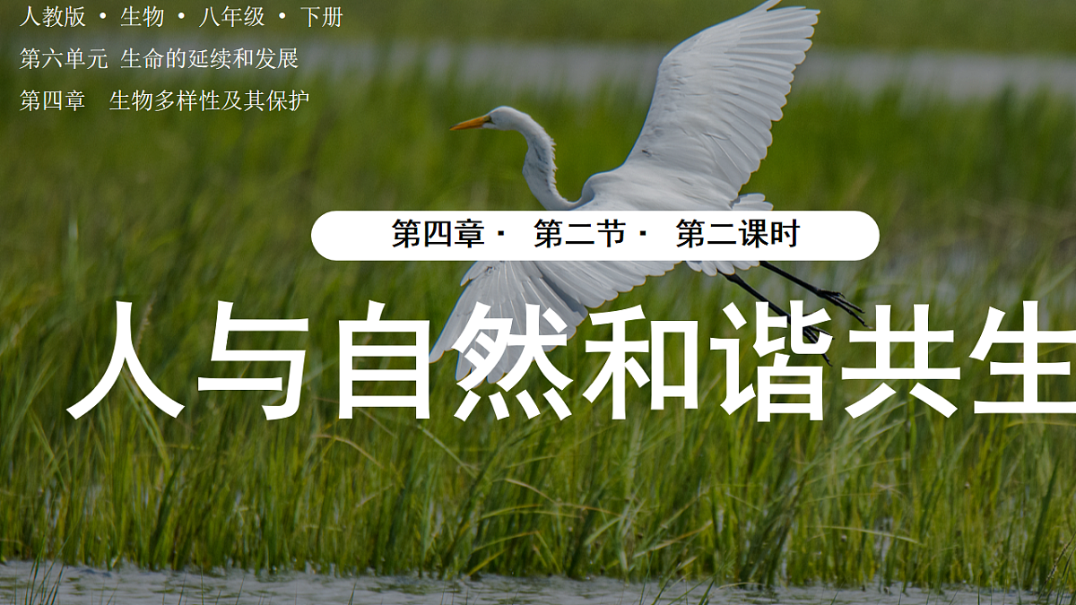4.2.2  人与自然和谐共生  课件 2025-2026学年人教版生物八年级下册第1页