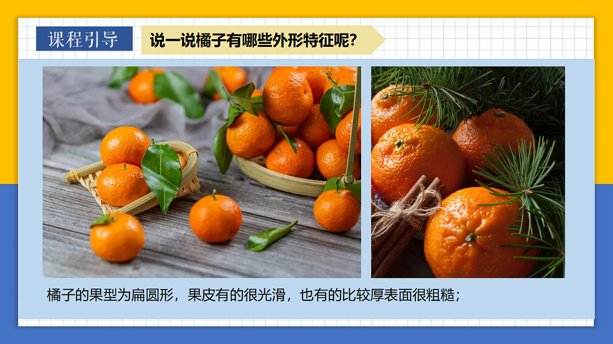 学前教育 大桔大利 课件第8页