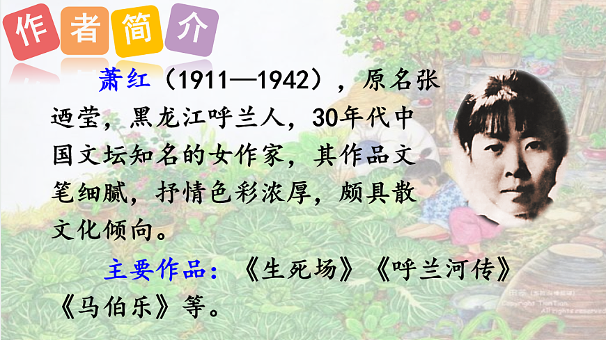 部编版小学语文五年级下册第一单元第2课《祖父的园子》第一课时第3页