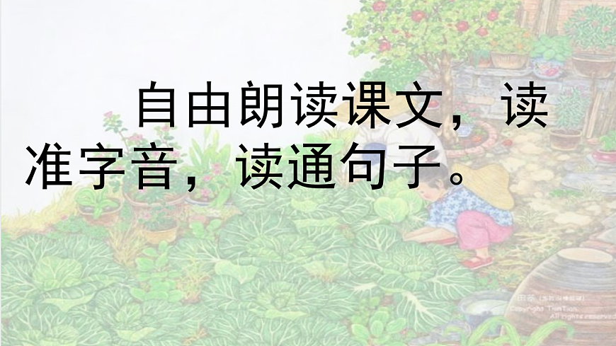 部编版小学语文五年级下册第一单元第2课《祖父的园子》第一课时第6页
