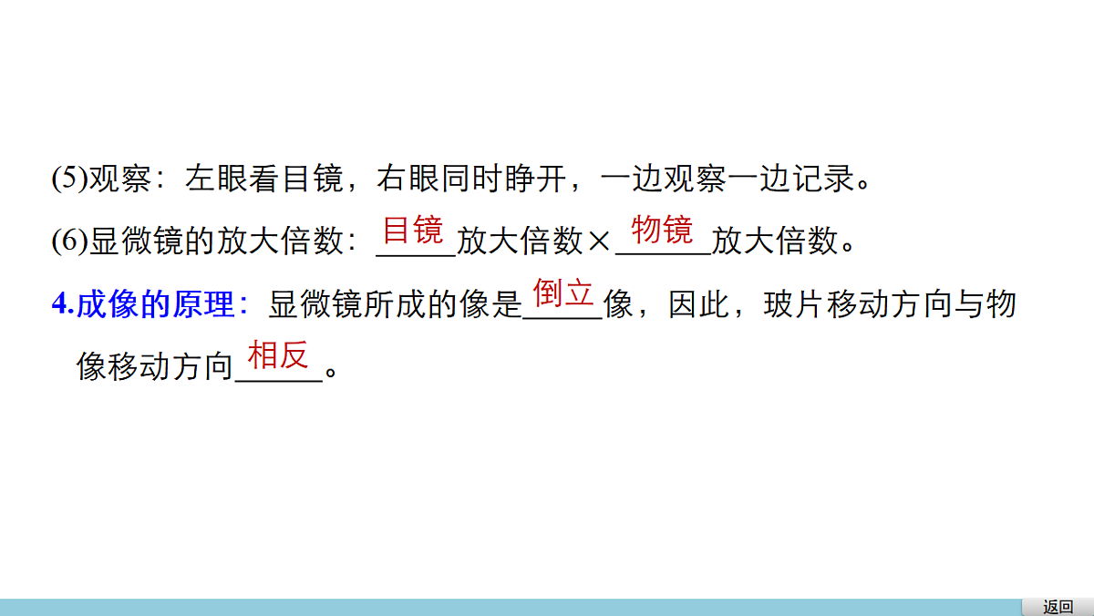 2026年中考生物一轮复习课件-观察多种多样的生物第8页