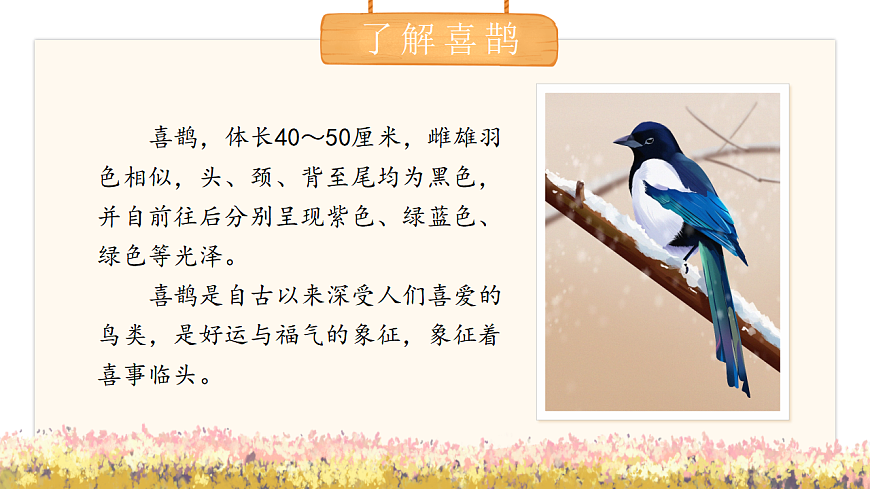 统编版二年级语文下册【教学课件】阅读10.《枫树上的喜鹊》第5页