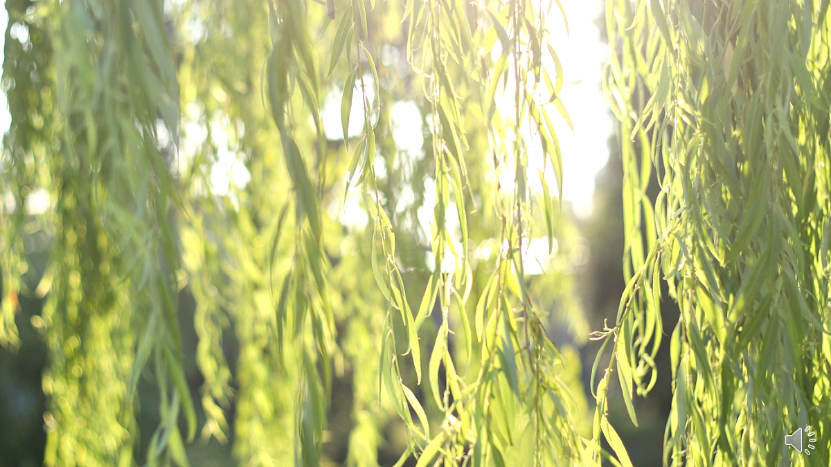 统编版二年级语文下册【教学课件】阅读1.《古诗二首》(第一课时) (2)第2页