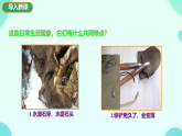 12.1 走进微观 课件 2024-2025学年沪科版物理八年级全一册