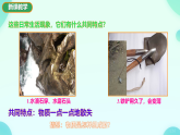 12.1 走进微观 课件 2024-2025学年沪科版物理八年级全一册