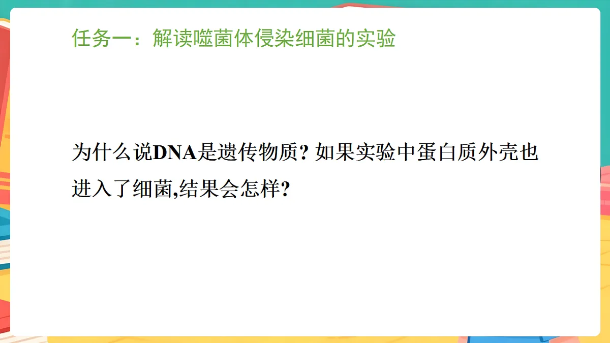 冀少版（2024）生物八年级下册 6.2.2 遗传物质——DNA （课件）第8页