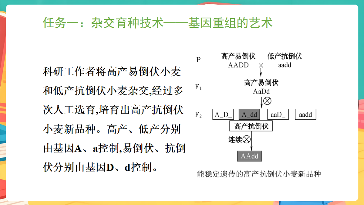 冀少版（2024）生物八年级下册 6.2.6 遗传育种技术 （课件）第3页