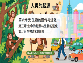 冀少版（2024）生物八年级下册 6.3.3 生物进化的原因 （课件）