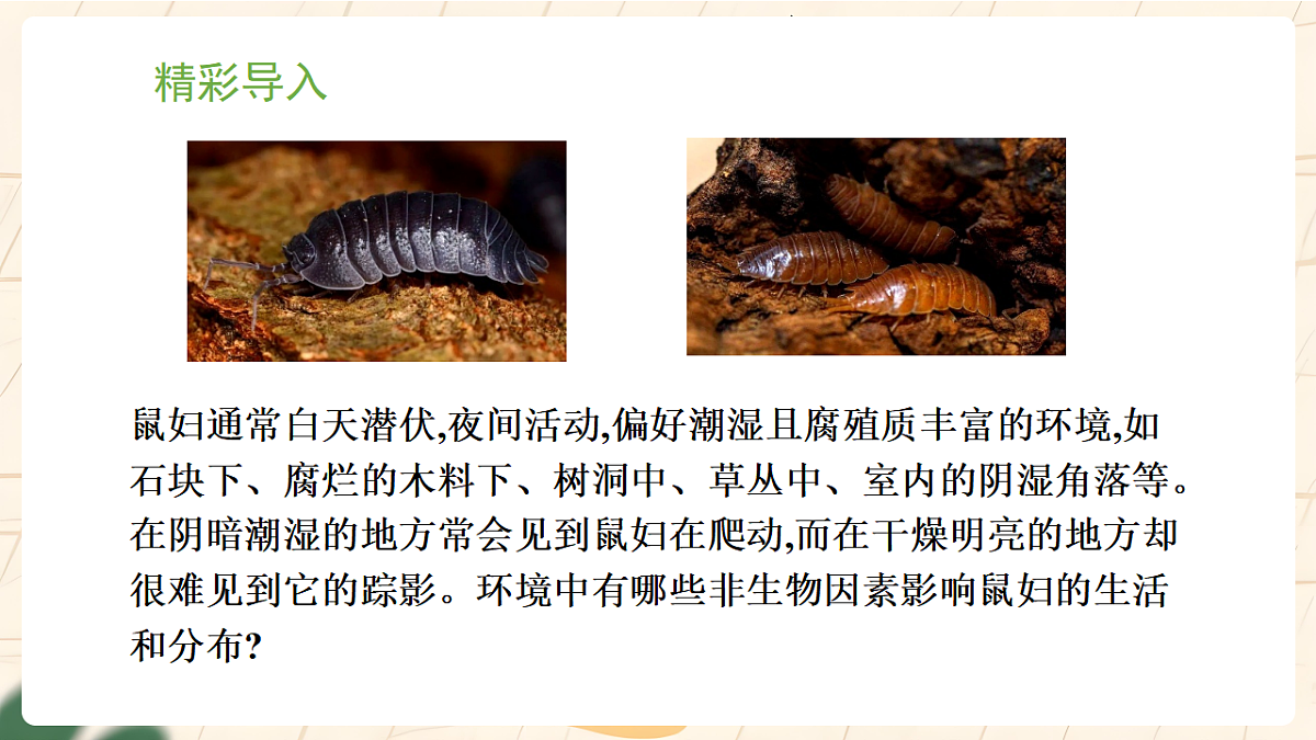 冀少版（2024）生物八年级下册 7.1.1 非生物因素对生物的影响 第1课时 （课件）第2页