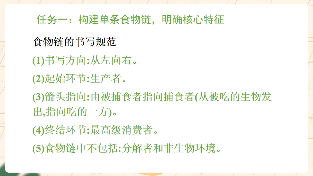 冀少版（2024）生物八年级下册 7.1.4 食物链和食物网 （课件）第6页