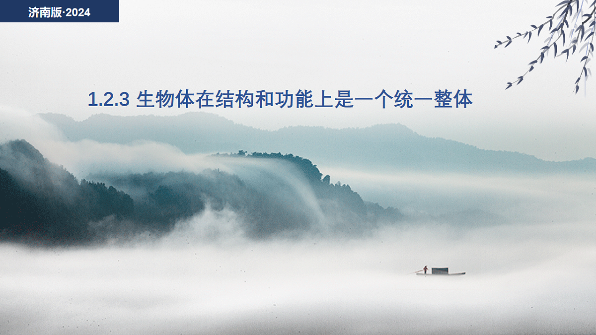初中  生物  济南版（2024）  七年级上册1.2.3 生物体在结构和功能上是一个统一整体 课件第1页
