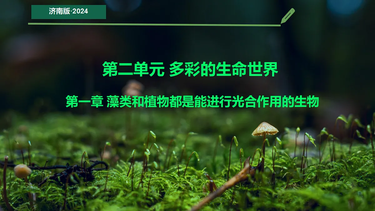 初中 生物 济南版（2024） 七年级上册2.1.1 藻类、苔藓和蕨类植物能用孢子繁殖后代 课件第1页