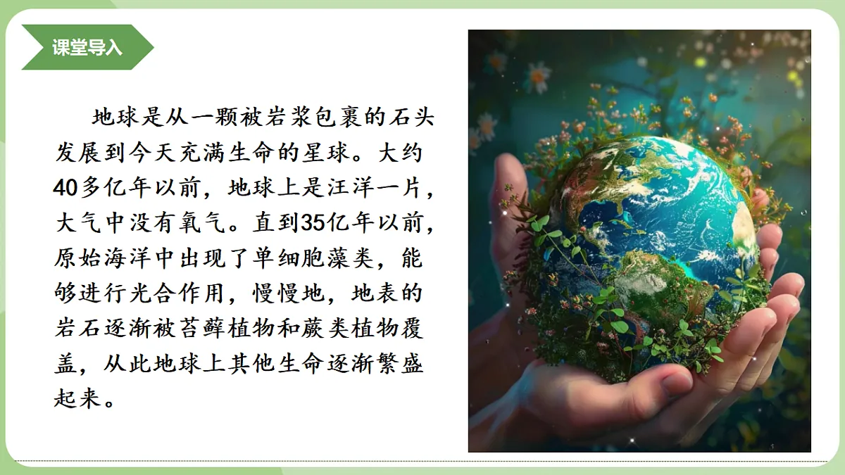 初中 生物 济南版（2024） 七年级上册2.1.1 藻类、苔藓和蕨类植物能用孢子繁殖后代 课件第4页