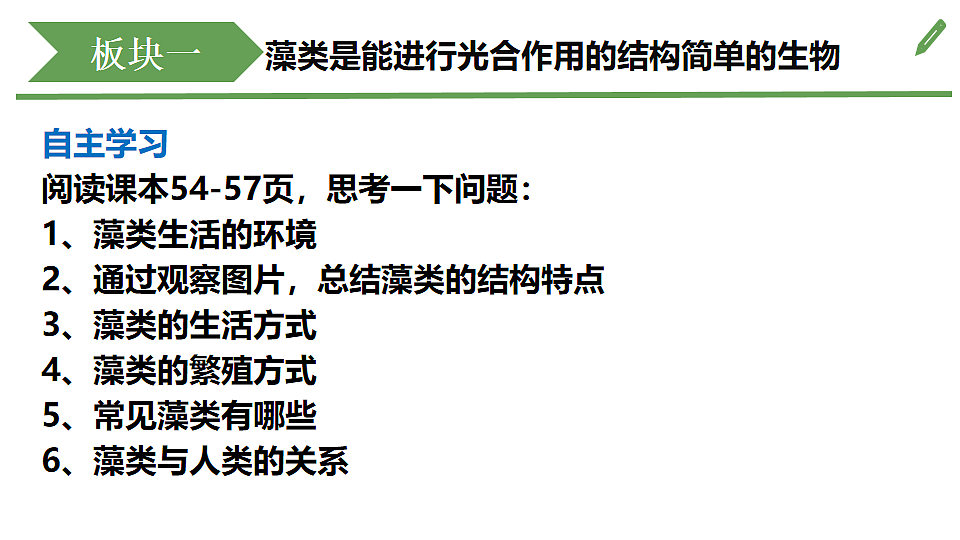 初中 生物 济南版（2024） 七年级上册2.1.1 藻类、苔藓和蕨类植物能用孢子繁殖后代 课件第4页