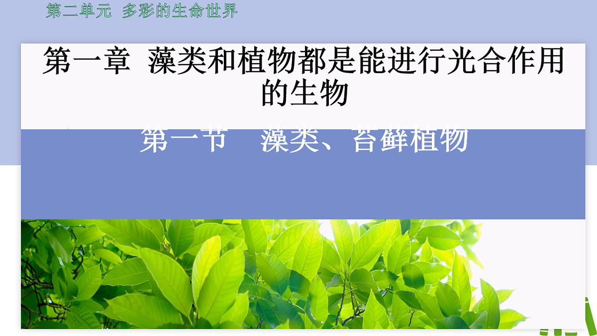 初中 生物 济南版（2024） 七年级上册2.1.1 藻类、苔藓和蕨类植物能用孢子繁殖后代 课件第2页
