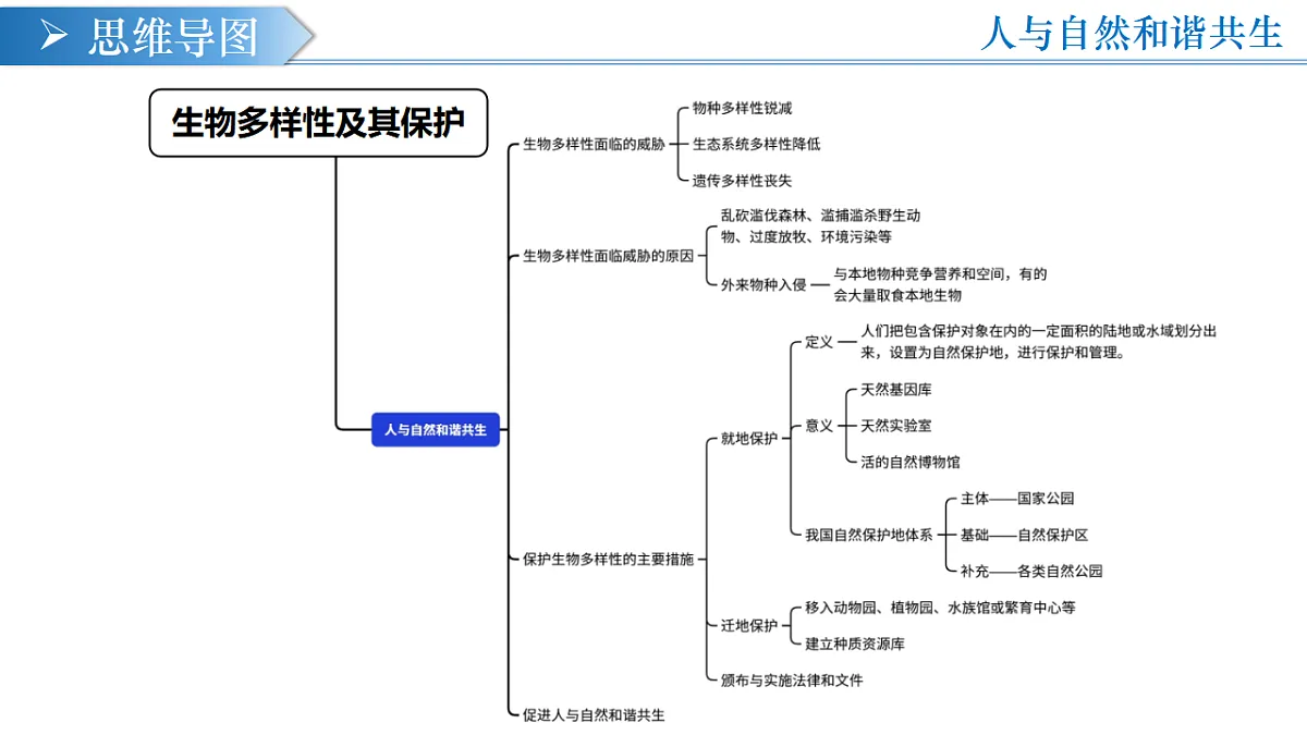 第六单元 第四章 生物多样性及其保护（复习课件）-2025-2026学年八年级生物下册（人教版2024）第4页