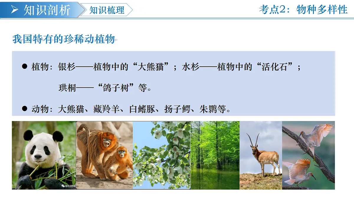 第六单元 第四章 生物多样性及其保护（复习课件）-2025-2026学年八年级生物下册（人教版2024）第8页