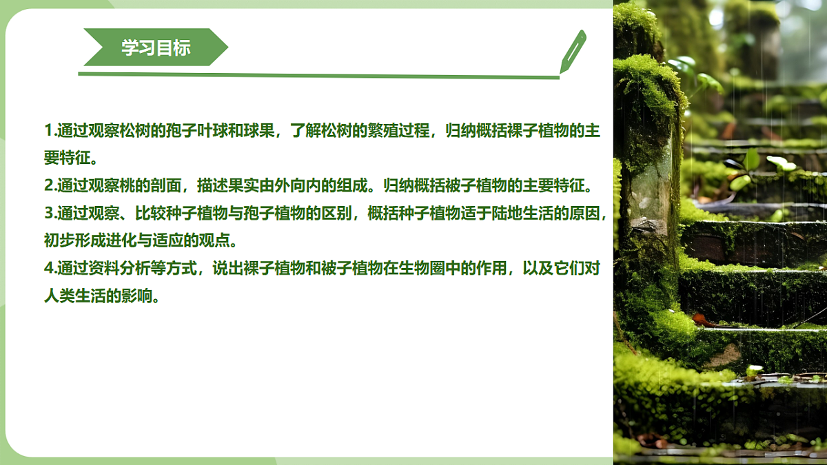 初中 生物 济南版（2024） 七年级上册2.1.2 裸子植物和被子植物能用种子繁殖后代 课件第2页