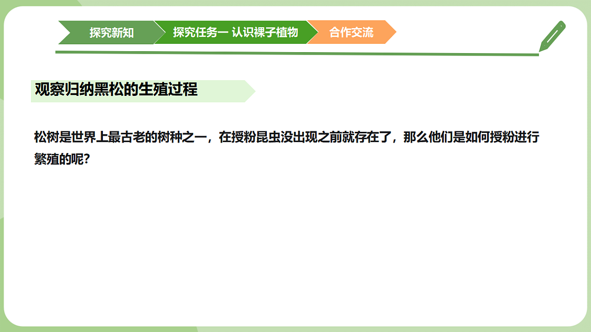 初中 生物 济南版（2024） 七年级上册2.1.2 裸子植物和被子植物能用种子繁殖后代 课件第5页