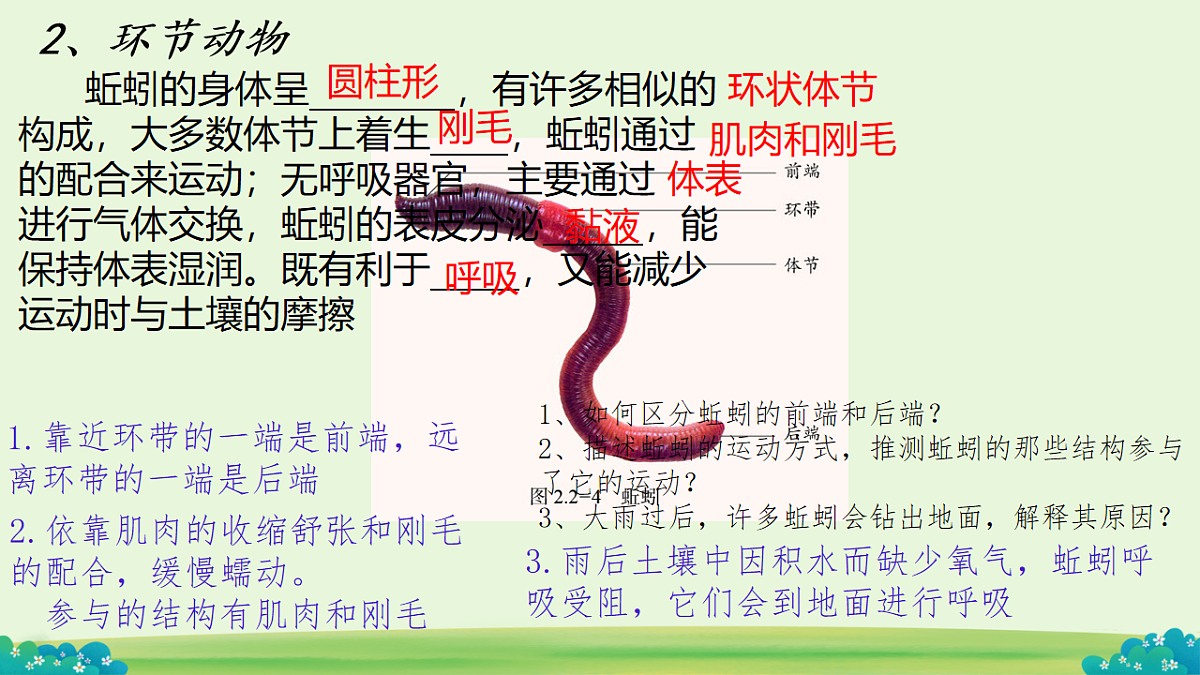初中 生物 济南版（2024） 七年级上册2.2.1 无脊椎动物体内没有脊柱 课件第5页