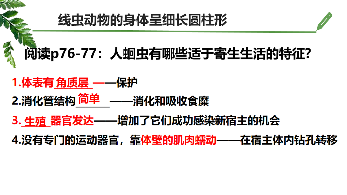 初中 生物 济南版（2024） 七年级上册2.2.1 无脊椎动物体内没有脊柱 课件第4页