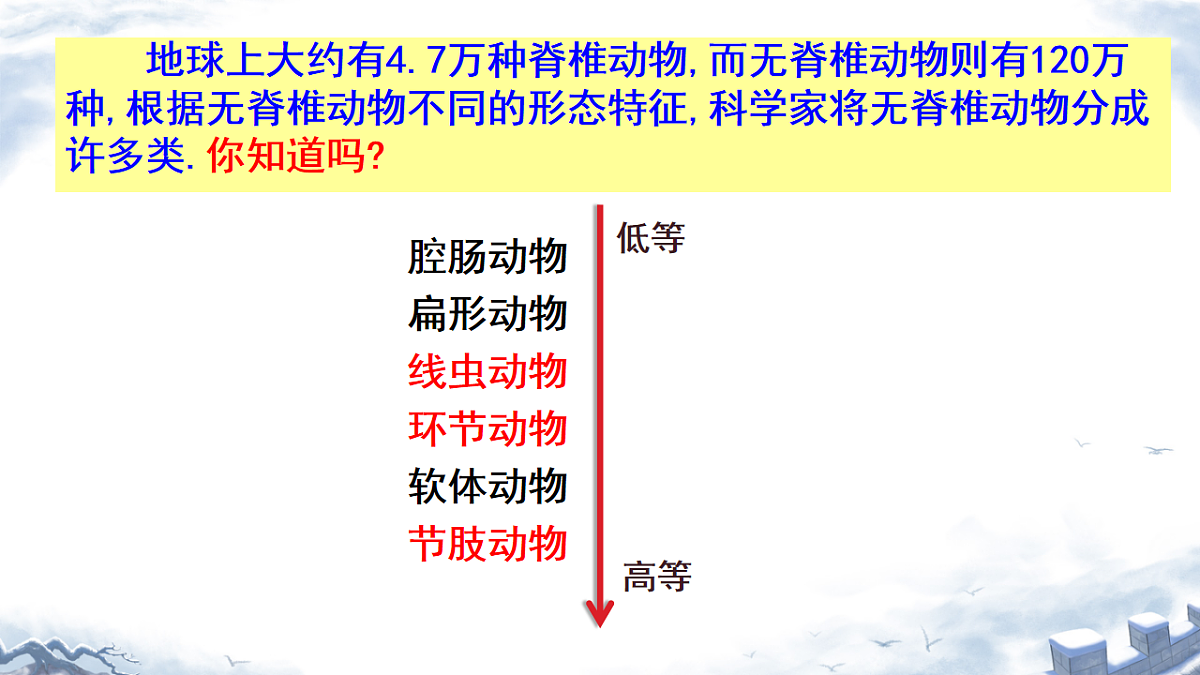 初中 生物 济南版（2024） 七年级上册2.2.1 无脊椎动物体内没有脊柱 课件第3页
