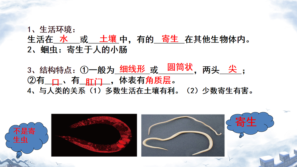初中 生物 济南版（2024） 七年级上册2.2.1 无脊椎动物体内没有脊柱 课件第6页