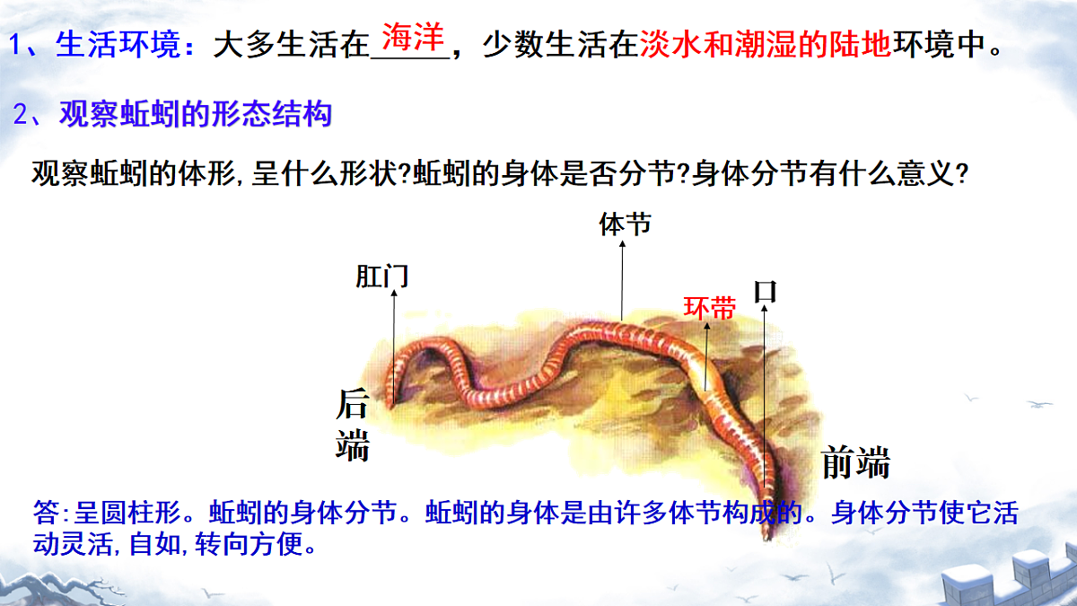 初中 生物 济南版（2024） 七年级上册2.2.1 无脊椎动物体内没有脊柱 课件第7页