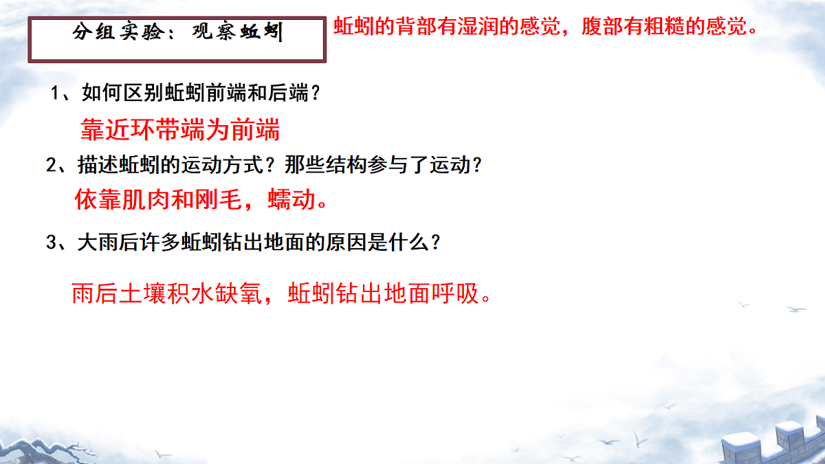 初中 生物 济南版（2024） 七年级上册2.2.1 无脊椎动物体内没有脊柱 课件第8页