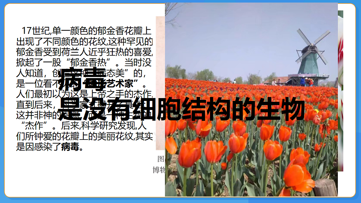 初中 生物 济南版（2024） 七年级上册2.3.1 病毒是没有细胞结构的生物 课件第1页