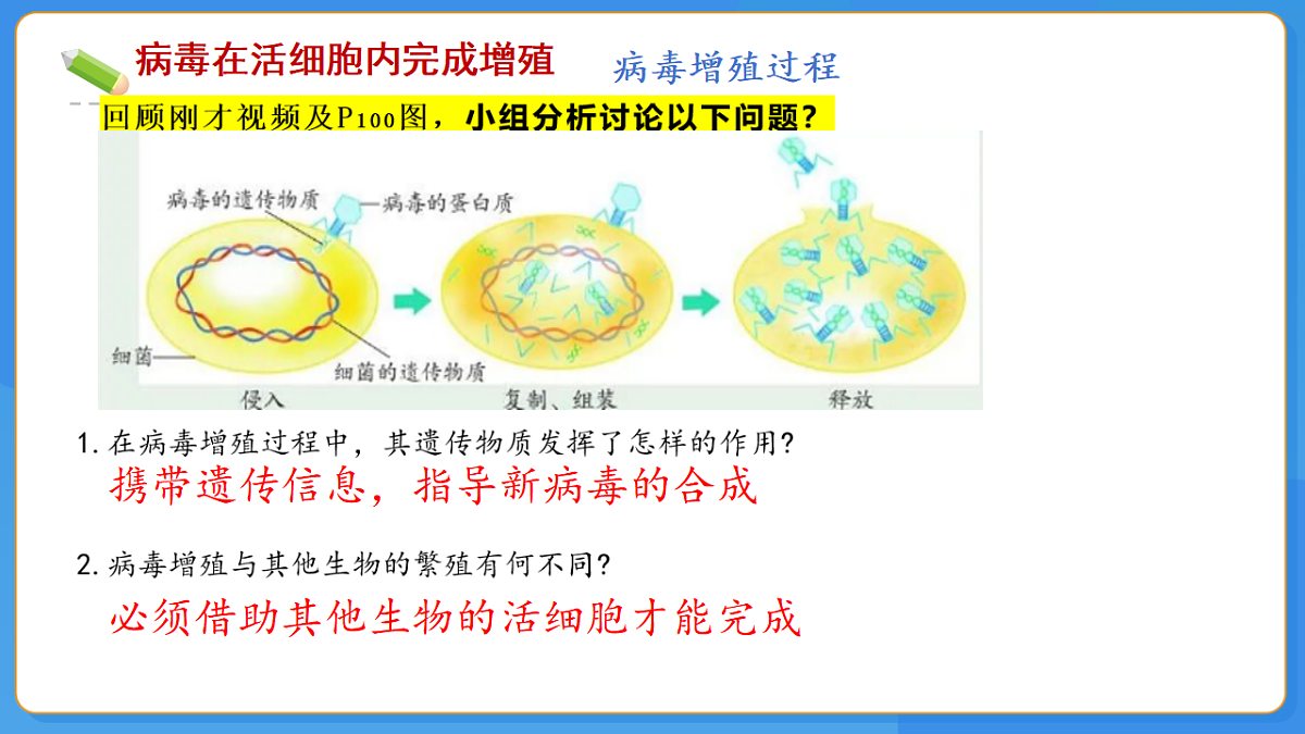 初中 生物 济南版（2024） 七年级上册2.3.1 病毒是没有细胞结构的生物 课件第5页