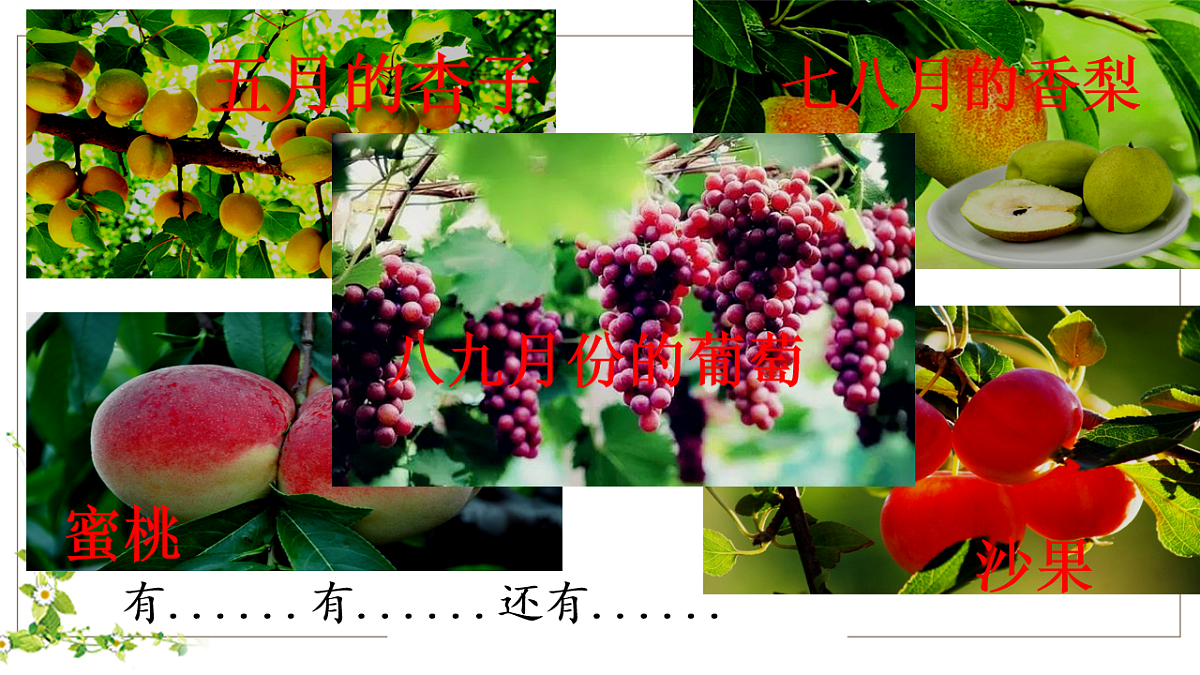 统编版语文二年级上册（2024）10 葡萄沟课件第8页