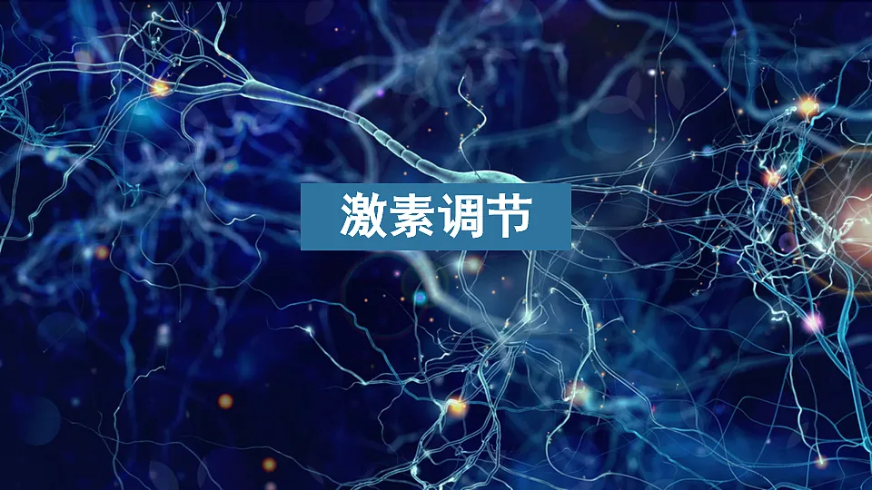 17868234第1页