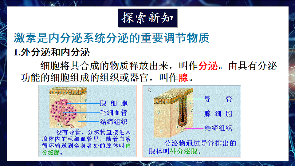 17868234第3页